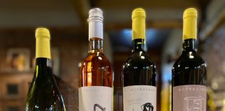 Familia Salas: un proyecto orgánico y familiar que apuesta al malbec en todas sus expresiones