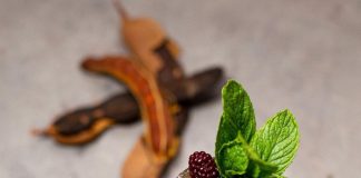 “Un viaje por los sabores del Whisky Cocktail” en Novotel