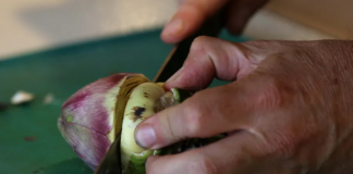 Vuelve la Fiesta del Alcaucil