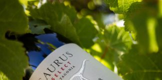 Familia Schroeder fue premiada en China y Suiza por su Pinot Noir