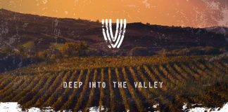 Deep Into The Valley: el 1° Festival de deep house, vinos y gastronomía de Mendoza