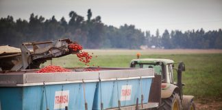 Knorr abrió las puertas de su cocina para mostrar cómo se cultivan y deshidratan sus vegetales en Mendoza