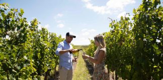 Vinos de Potrero acompaña a la Selección Argentina con un vino especial