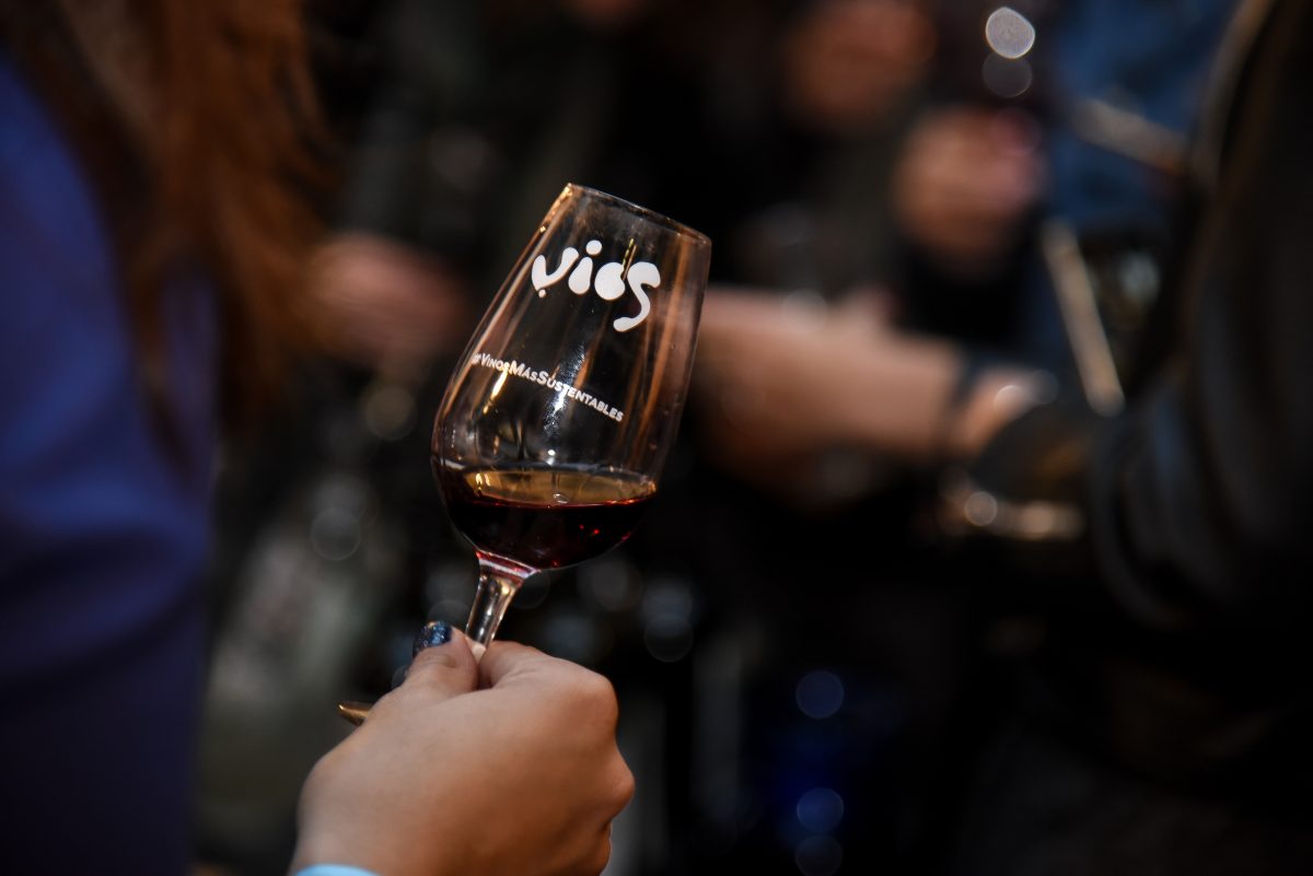 vinos organicos