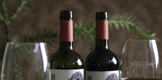 Saurus Pehuén: vinos que colaboran con la reforestación de Bosques Nativos Patagónicos