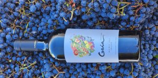 Gaia Conciencia: una invitación a ser protagonistas en el cuidado de la tierra