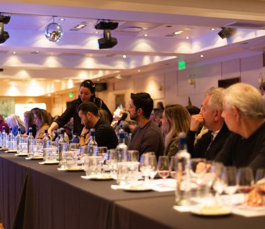 Puro Vino Bariloche 2023: vuelve la gran fiesta patagónica del vino