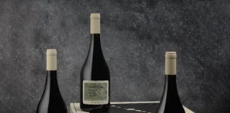 Satélite Pinot Noir, una nueva colección de vinos nacida en el Valle de Uco