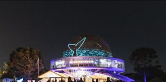 Planeta Madryn: la ciudad patagónica lanzó su temporada de ballenas en el Planetario