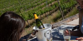 Enoturismo en la Patagonia: la propuesta de Familia Schroeder enoturismo en la patagonia