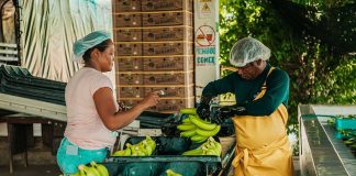 Agricultura Familiar: la importancia para el desarrollo de América Latina y el Caribe