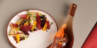 Gaia Pinot Noir Rosé: vanguardia y sofisticación para celebrar esta variedad gaia pinot