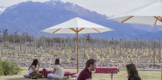 Solo Contigo Wine Fest: vinos, música y arte en el Valle de Uco