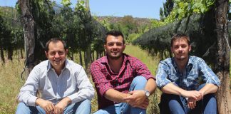 Sarapura Wines: el proyecto de tres ingenieros agrónomos en busca de viñedos únicos