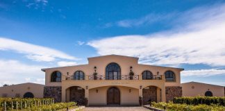 Bodega Piedra Negra: una apuesta por la Argentina que hoy cumple 30 años bodega piedra negra