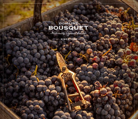Premios IWSC: la bodega orgánica Domaine Bousquet, la única finalista argentina