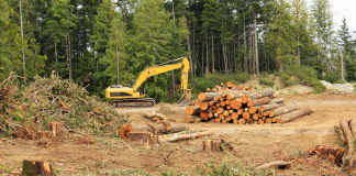 Crisis climática: una responsabilidad de todos