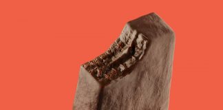 Power Cacao con Melena de León: el nuevo helado de Haulani