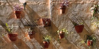 Comer al aire libre: 4 opciones para disfrutar la primavera comer al aire libre