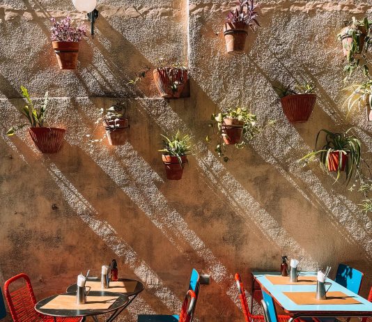Comer al aire libre: 4 opciones para disfrutar la primavera comer al aire libre