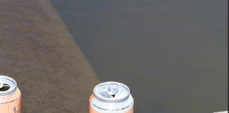 Costanera Sur: la nueva cerveza que se suma a la familia Bieckert costanera sur