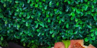 Bounce Bar: una nueva propuesta gastronómica en Villa Luro