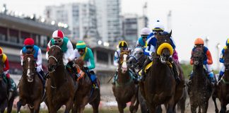 Gran Premio Nacional y actividades para toda la familia en Palermo gran premio nacional
