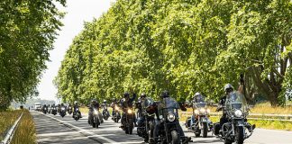 Bodega Cuchillo de Palo y Harley Davidson se unen para concientizar sobre “alcohol cero al manubrio” cuchillo de palo