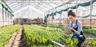 Cambio climático, las 10 tendencias que marcarán 2024