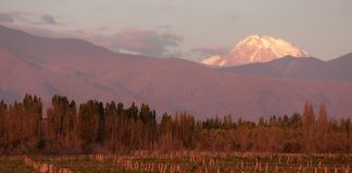 Bodega Viñalba logró la certificación de sustentabilidad de Bodegas de Argentina bodega viñalba