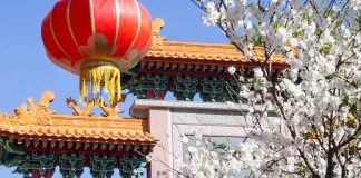 La colectividad china le da la bienvenida al año del Dragón de Madera dragón de madera