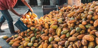 Nace Lacasa KKO Foundation, la fundación de Grupo Lacasa Lacasa KKO Foundation