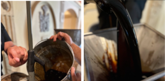 Llega una nueva edición de la “Vendimia del Aceto Balsámico” vendimia