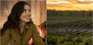 Vendimia Patagónica 2024, «una cosecha de la cual hablaremos por muchos años» vendimia patagonica 2024