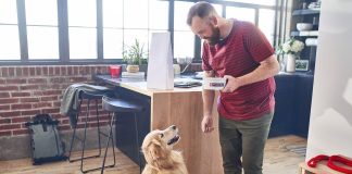 Transición de alimentos: cómo cambiar la dieta de una mascota de manera responsable alimentos mascotas