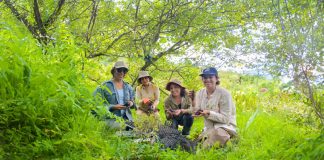 Acción Andina, la iniciativa que rescata bosques andinos en nuestro país accion andina