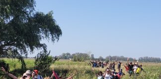 10 lugares para hacer senderismo cerca de CABA senderismo