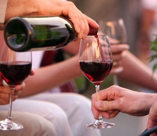 Día del Malbec: un brindis global por la cepa insignia de Argentina vino malbec