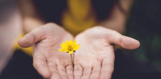 «Desbloquea tu próximo nivel», Daniela de Lucía presenta su nuevo libro