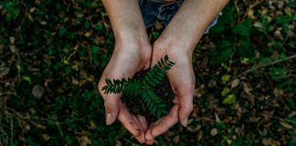 Día de la Conservación del Suelo: una oportunidad para reflexionar día de la conservación del suelo