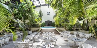 Loi Suites abre su Jardín de Invierno y renueva su carta con opciones veganas y celíacas jardín de invierno