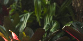 Cantieri Navali: el nuevo vermouth patagónico creado por Inés De Los Santos y Felipe José Menéndez cantieri navali