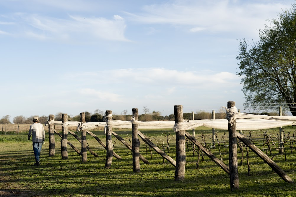 finca las antipodas