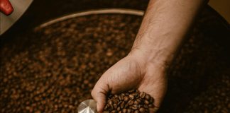 Cafeto Tueste Argentino: un encuentro de literatura, música y café cafeeto