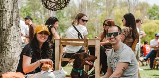 Mercado Fusión, el nuevo encuentro gastronómico al aire libre en Buenos Aires mercado fusion