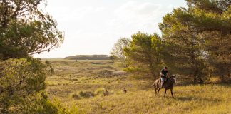 Día Mundial del Suelo: una oportunidad para reflexionar y cuidar la tierra dia mundial del suelo