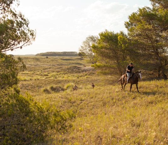 Día Mundial del Suelo: una oportunidad para reflexionar y cuidar la tierra dia mundial del suelo