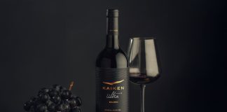 Kaiken Ultra Malbec: el mejor vino argentino del 2024, según Wine Spectator kaiken ultra malbec
