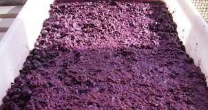 Importante bodega argentina colabora con el CONICET en el estudio de las propiedades antitumorales del orujo orujo vino