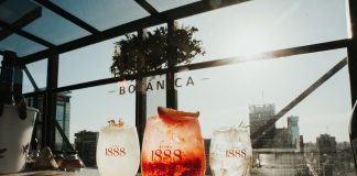 1888 Botánica: una nueva sidra con el enebro como protagonista 1888 botánica